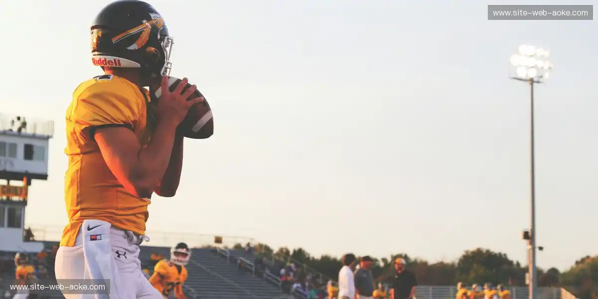 播放端画质保持精准输出